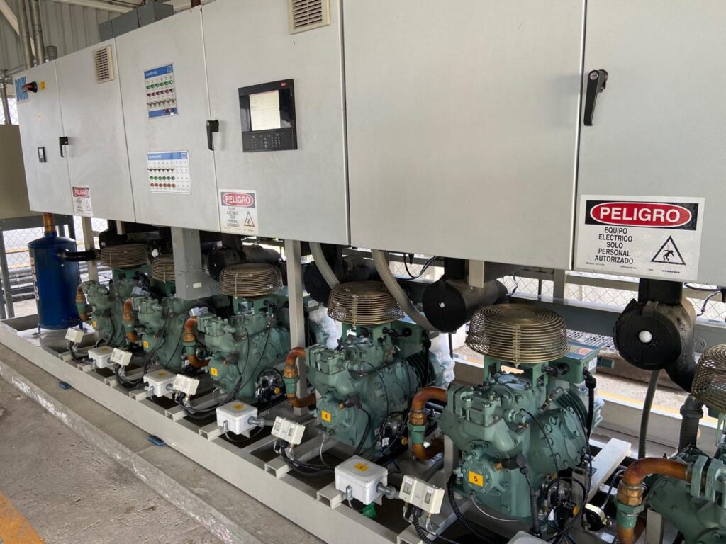 whatsapp image025 11 24 at 14.35.36