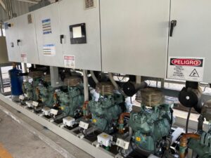 whatsapp image025 11 24 at 14.35.36